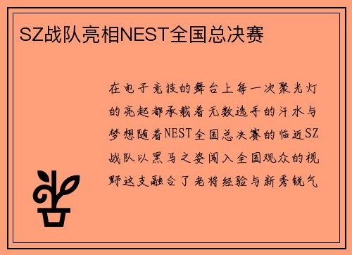 SZ战队亮相NEST全国总决赛
